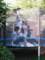vdl_0038_small.jpg